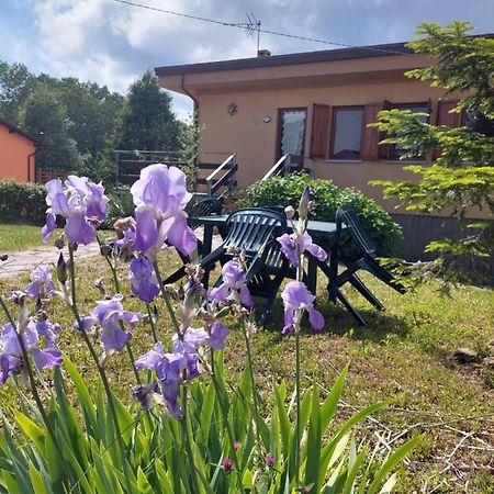 Chalet Grazia Valgiano Kültér fotó