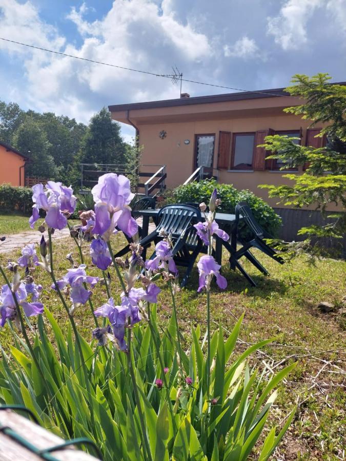 Chalet Grazia Valgiano Kültér fotó